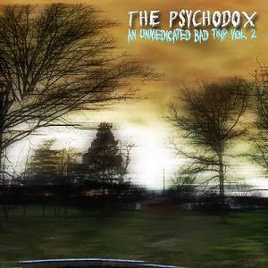 The Psychodox : An Unmedicated Bad Trip: Vol. 2